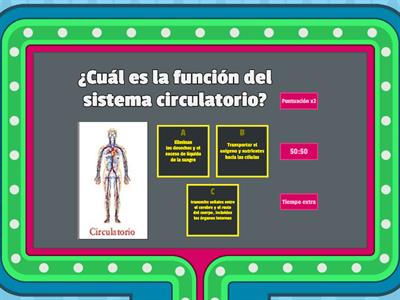 Sistema circulatorio