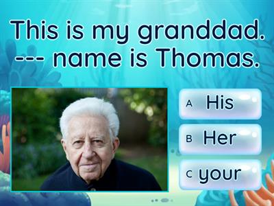 Possesive adjectives