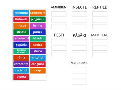 PRINCIPALELE GRUPE DE ANIMALE