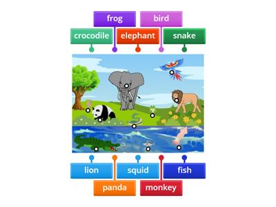 06 Nattawut 04-จับคู่ภาพภาษาอังกฤษ