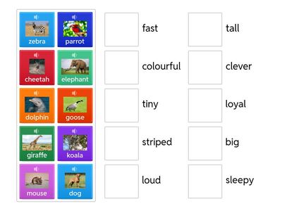  ANIMALS & ADJECTIVES