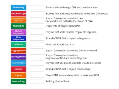 DNA vocabulary