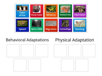 Animal Adaptation Sort