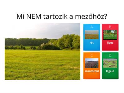 A mező életközössége