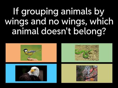 Grouping Animals