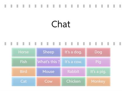 Les animaux en anglais - CM2