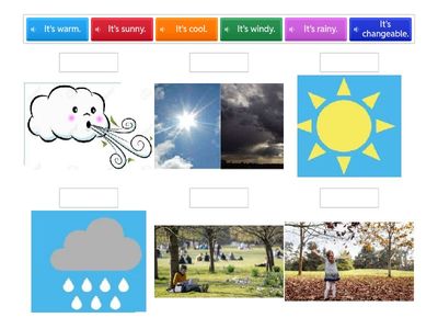 What's the weather like?