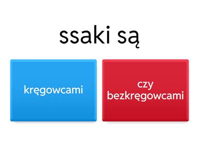 Ssaki