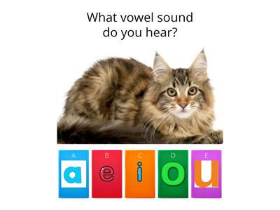 Short Vowel Quiz