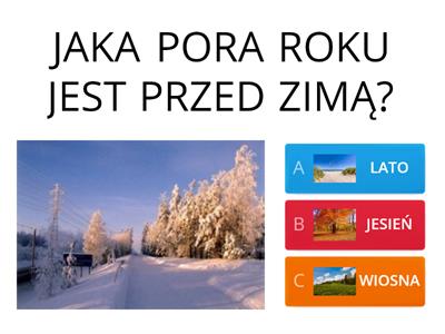 ZIMA - QUIZ