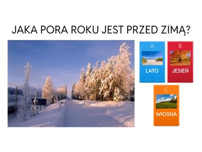 ZIMA - QUIZ