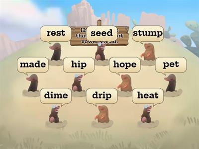 Short Vowel/Long Vowel