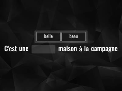 Les adjectifs pour décrire des lieux 2, choisis l'adjectif adéquat