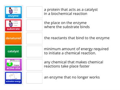 Enzymes