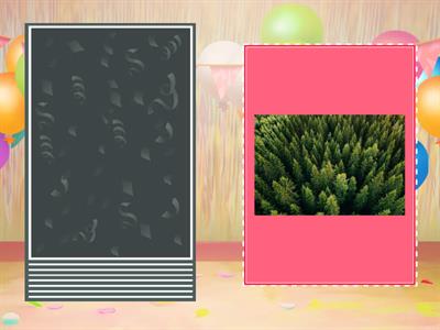 Слова на букву "Л"