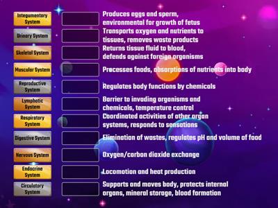 Body System Functions