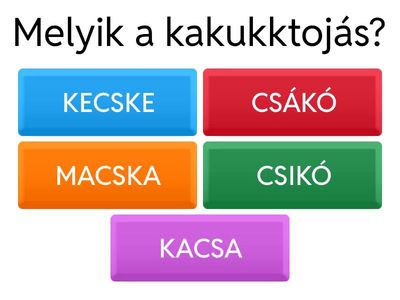 Kakukktojás keresése (cs hang)