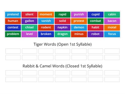 Rabbit & Camel VS. Tiger