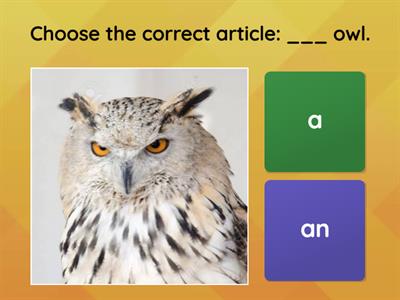 Article a/an- Grade 2