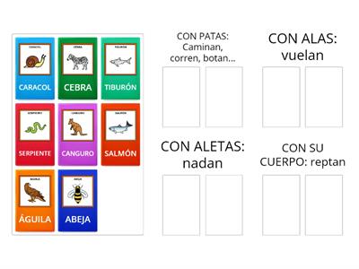 Cómo se desplazan los animales?