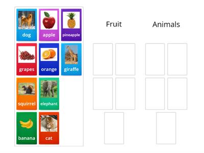 categories sorting game