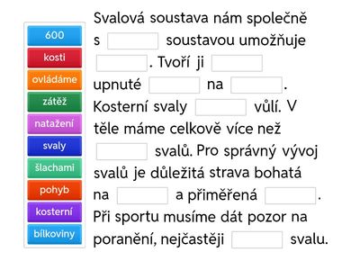 Svalová soustava - informace