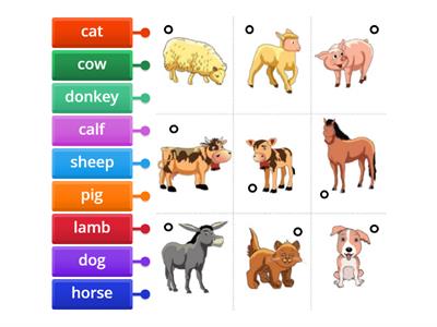 FARM ANIMALS 1.2