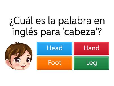 Partes del Cuerpo en Inglés