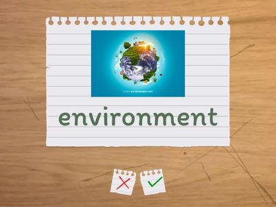   WW 4 Unit 2 vocabulary