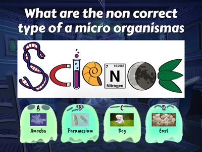 Grade 6 Science 👩‍🔬