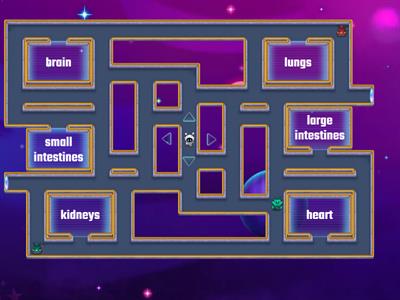 Circulatory System Maze Game