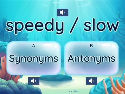 Synonym/Antonym Identification Quiz