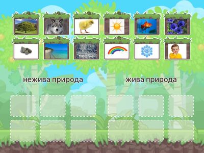 Жива і нежива природа