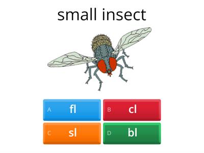 Game 32 (Wilson Step 2: 2.2) Closed Syllables with Blends Quiz Initial blends fl cl sl bl