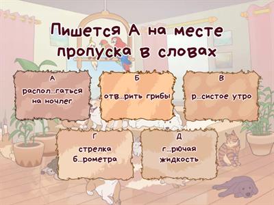 ЦТ 2024 (1 вариант, орфография)