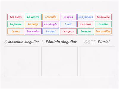 Les parties du corps: singulier ou pluriel ? - PRI3