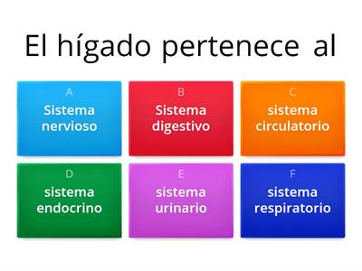 El hígado y el sistema digestivo