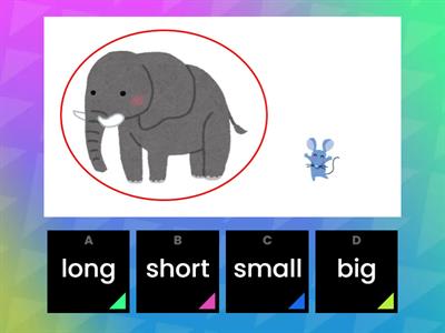 Unit 10 Adjectives - (big, small, short, long)