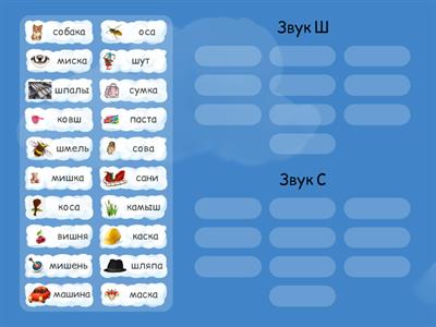 Дифференциация звуков С-Ш в словах