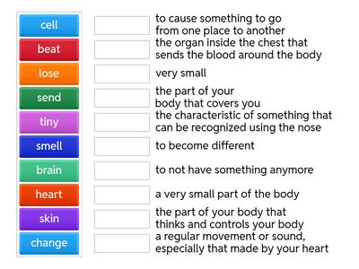 Interchange intro - Unit 12 - Reading - Do you know your body?