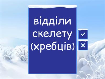 Анатомія жаб