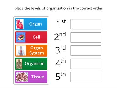 Levels of Organization