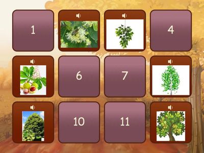 Дидактична гра «Якого деревця  гілочка» 