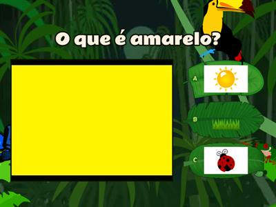 Identificação de cores (TF Cátia Viegas)