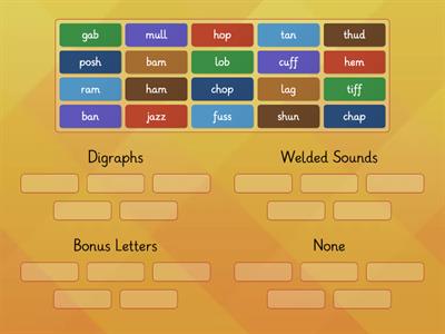 Wilson 1.5 Word Sort