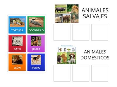 ANIMALES