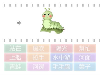 第六課：毛毛蟲