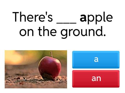 A or An? (GG1, Unit 3.3)