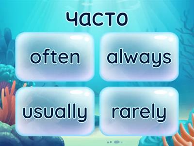 Adverbs of frequency