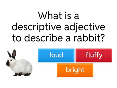 Descriptive Adjectives 